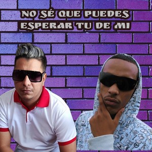 No sé que puedes esperar tu de mi (Explicit)