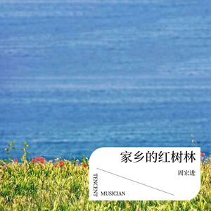家乡的红树林