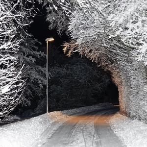 MASK ON! (feat. WORM & YREEK) (Explicit)