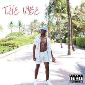 The Vibe (Explicit)