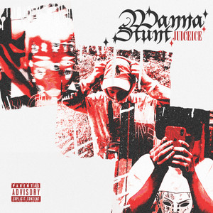 WANNA STUNT (Explicit)