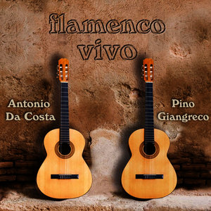 Flamenco Vivo