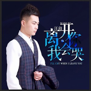 离开你我会哭 (DJ Candy 2018 Extended MiX版)