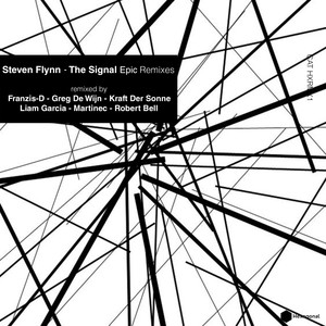 The Signal (Franzis-D Remix)
