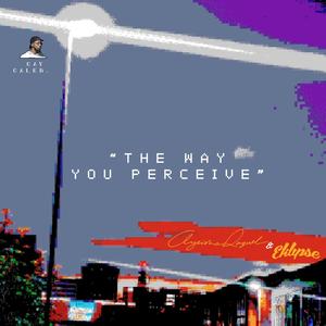 the way you perceive (feat. Ayeisha Raquel & Eklipse)