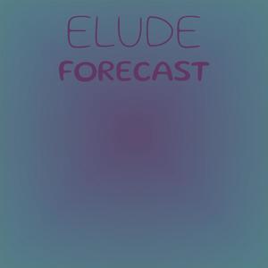 Elude Forecast