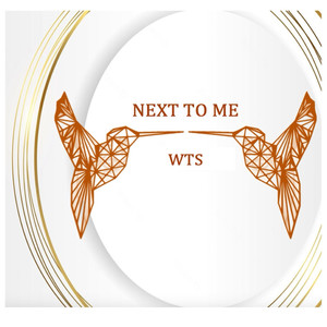 Next to Me (Charles Jay Remix)