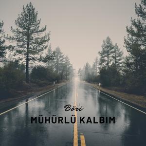 Mühürlü Kalbim