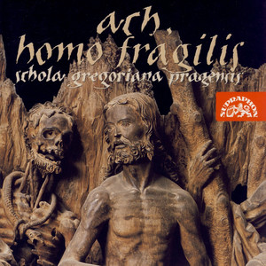 Ach homo perpende fragilis (Leich)