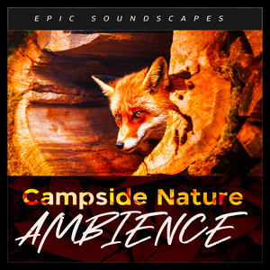 Campside Nature Ambience