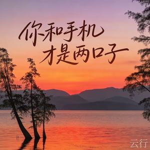 你和手机才是两口子