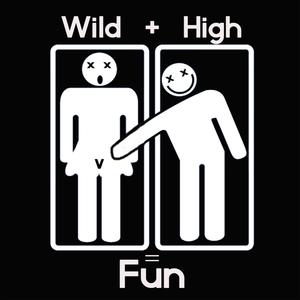 Wild High Fun (Explicit)