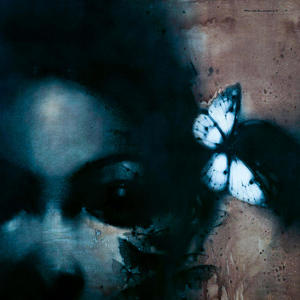 fall from you (Explicit)