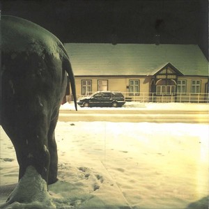 Można poprzez łąkę zagubić się idąc, nie patrząc, nie słysząc, zasłuchany w traw gwiezdny szum / Embrace the Meadow As You Walk Not Seeing, Not Hearing, Engrossed in the Starlike Murmur of the Grass