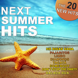 Next Summer Hits. The 20 New Hits.