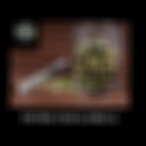 ENTRE YESCA FRECA (feat. LANOTADELTERROR, LUDAR TLC & AFER LOKO) (Explicit)