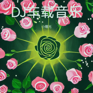 过河 (DJ车载版)封面