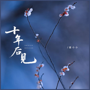 十年后见