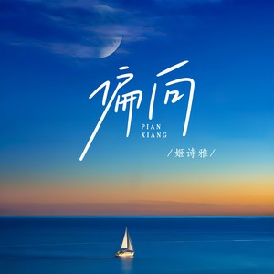 偏向 (DJ九零版伴奏)