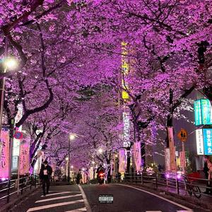 japan (Explicit)