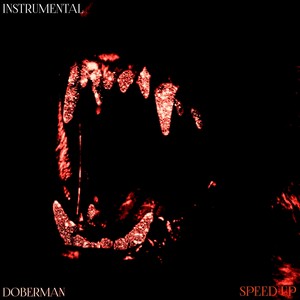 DOBERMAN instrumental (Explicit)