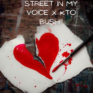 Street In My Voice (Explicit)