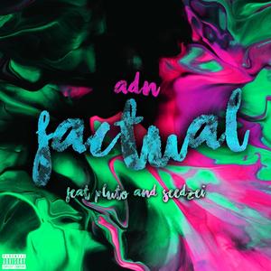 Factual (feat. Terrible Rapper & Seedzei) (Explicit)