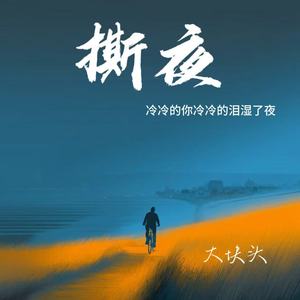 撕夜（冷冷的你冷冷的泪湿了夜）