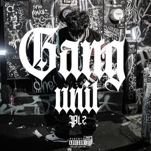 Gang Unit Pt2. (Explicit)