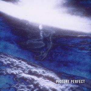 Picture Perfect (feat. Kosmo) (Explicit)