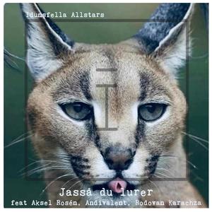 Jasså du lurer (feat. Aksel Rosén, Andivalent & Rodovan Karachza) (Explicit)