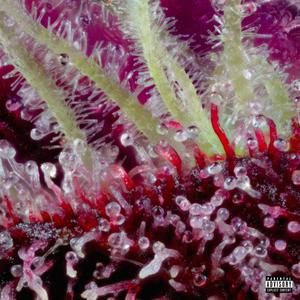 Trichome (Explicit)