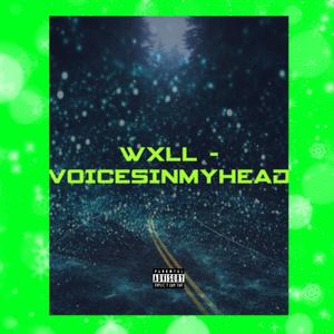 VOICESINMYHEAD (Explicit)