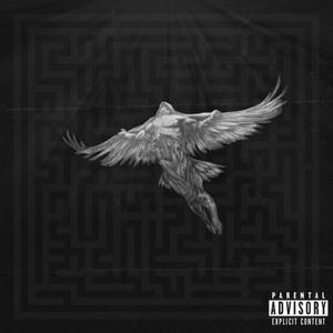 Icarus(feat. BK) (Explicit)