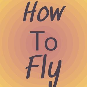 How To Fly