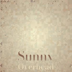 Sunny Overhead