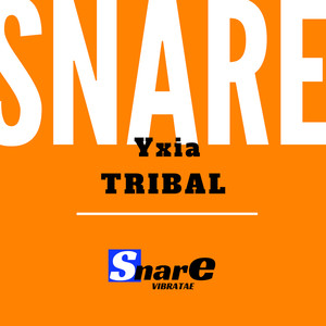 Tribal (Original Mix)