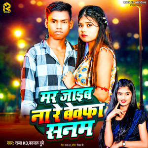 Mar Jaib Na Re Bewafa Sanam