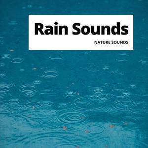 Rain Sounds