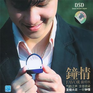 爱是你眼里的一首情歌封面