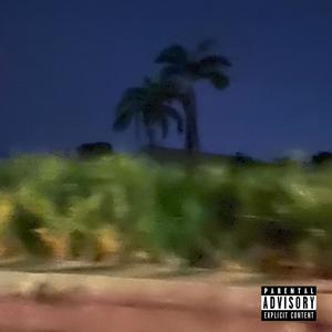 BLACK PALMS (Explicit)