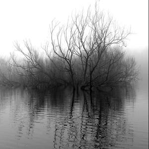 Spread a Little Love (Explicit)