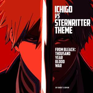 Ichigo vs Sternritter