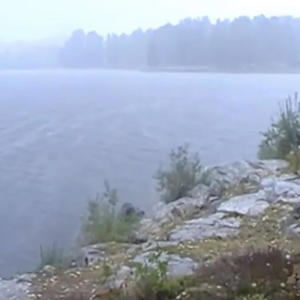 peek through my skull