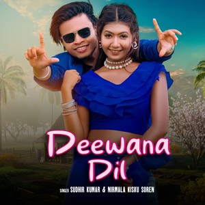 DEEWANA DIL