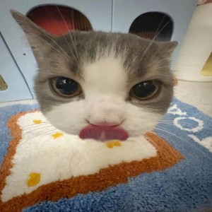 Có Lẽ Anh Quá Iu Em