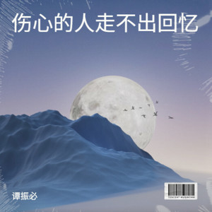 伤心的人走不出回忆