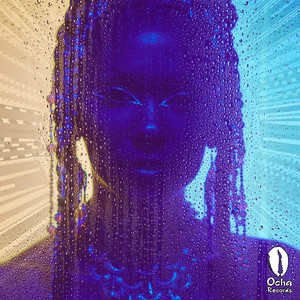 Shake Me (Instrumental Mix)