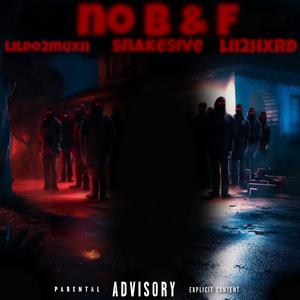 No B&F (feat. Fbb baccdoor & lii2hxrd) (Explicit)