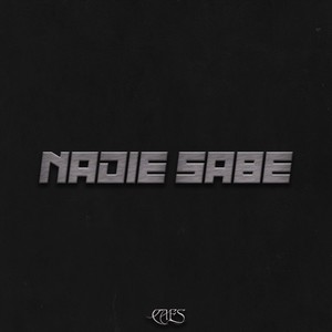 Nadie Sabe